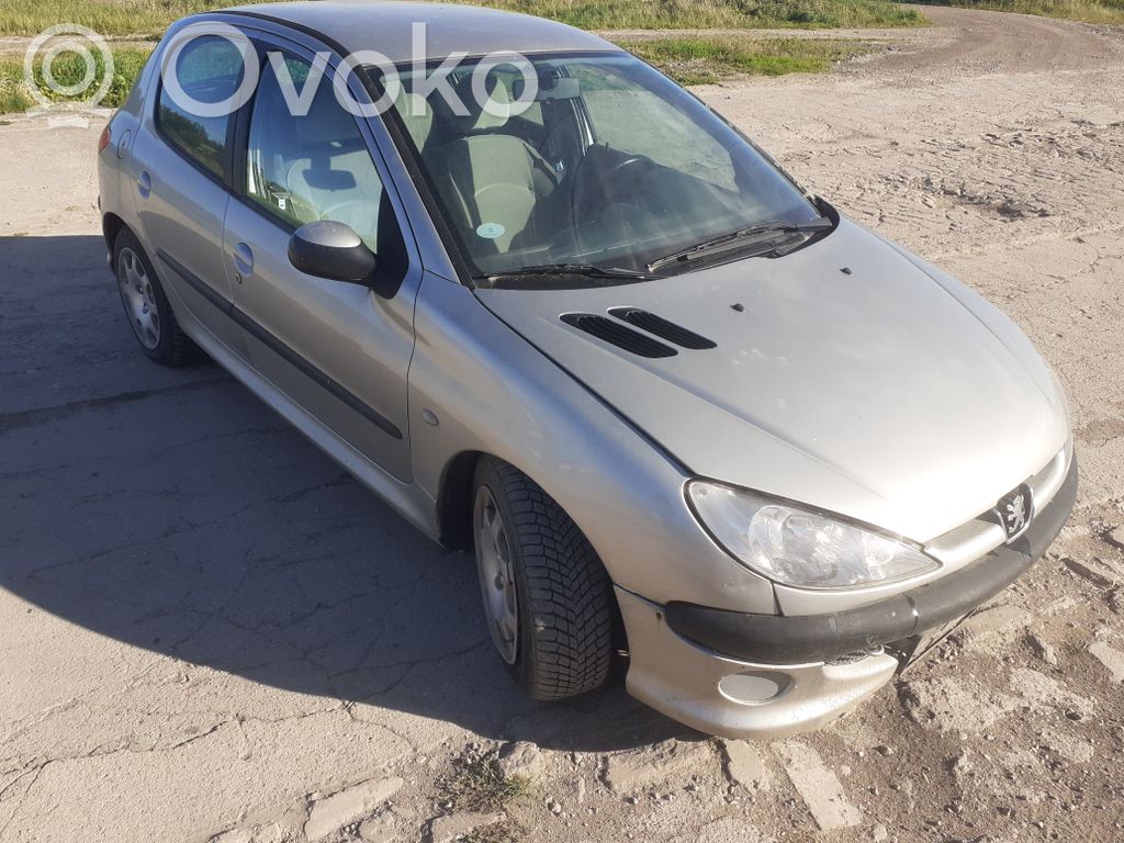 206 206, 206+  965261