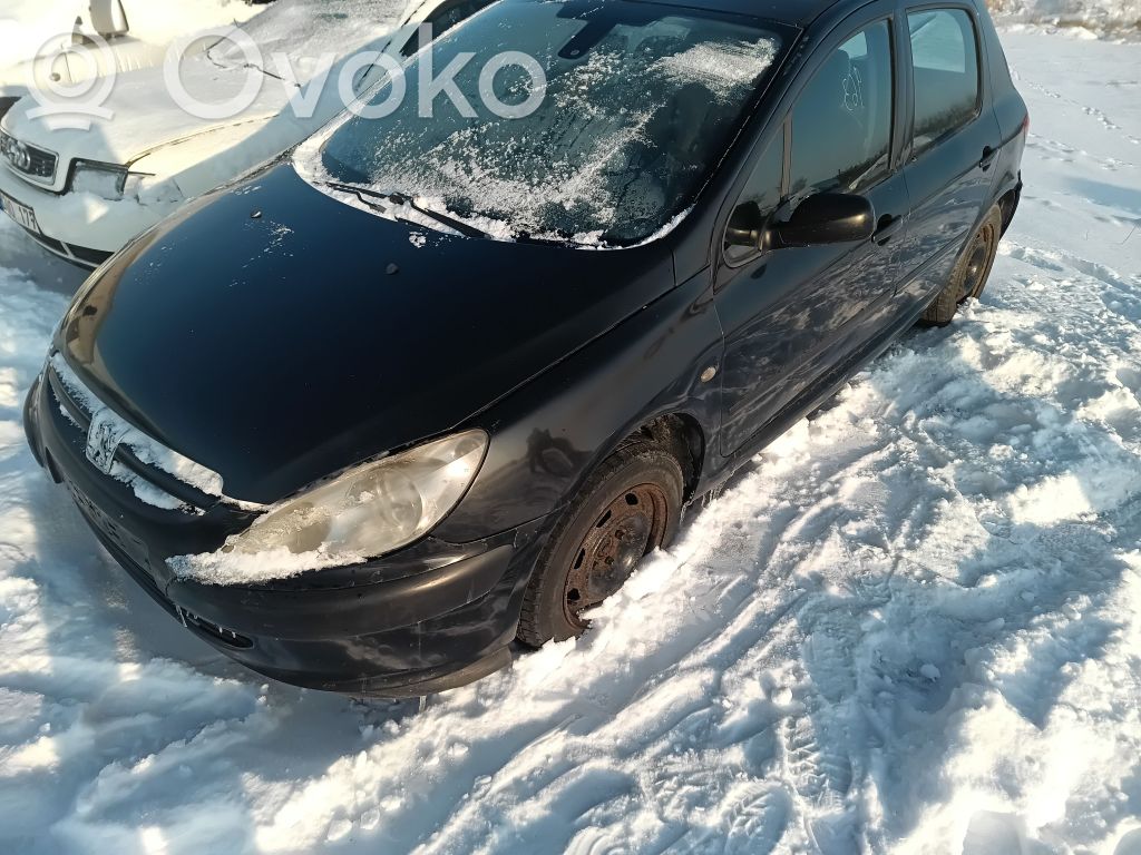 307 307  9632759780