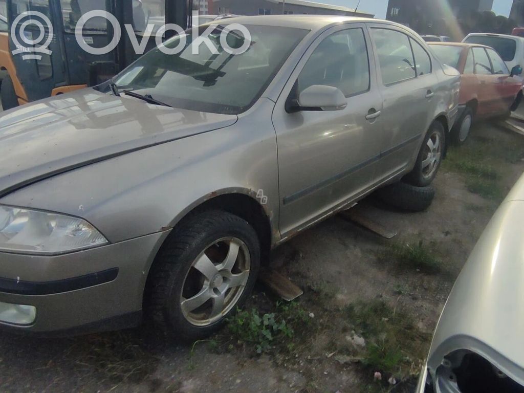Octavia Mk2 (1Z) Octavia  9202
