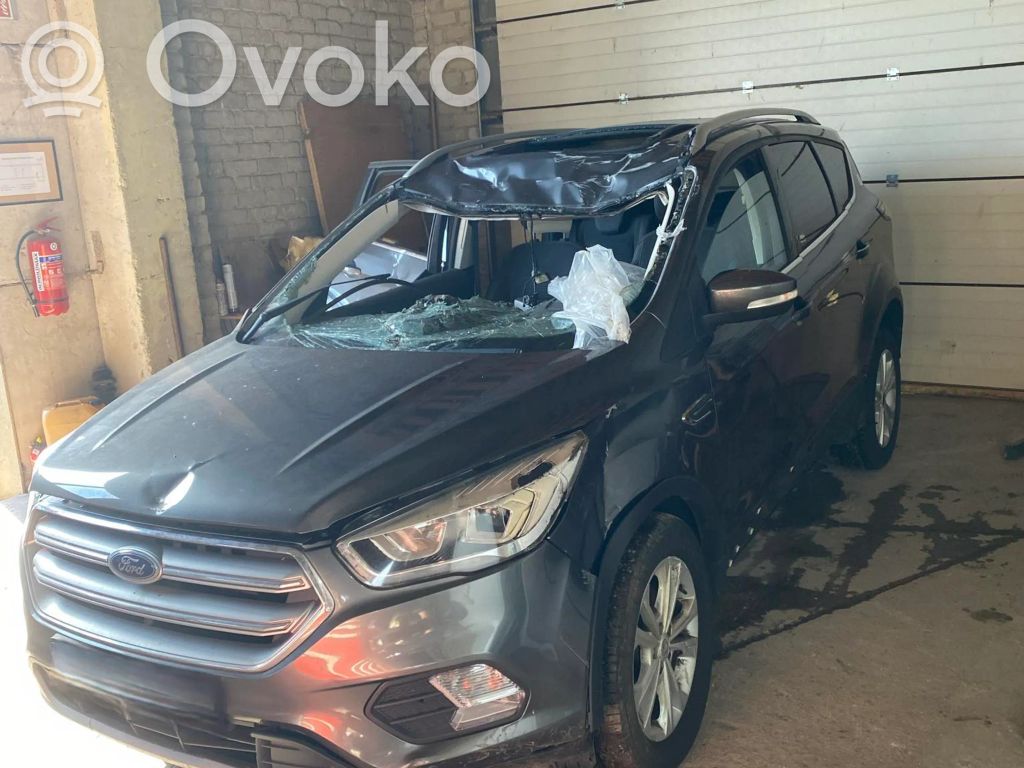 Kuga II Kuga  AM51R04584