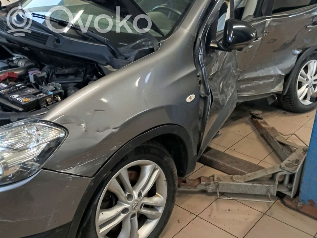 Qashqai+2 Qashqai, Qashqai+2  48810BR61E