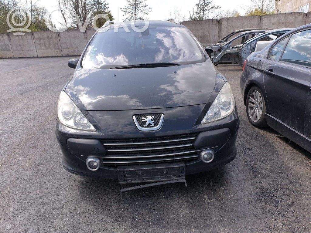 307 307  9646321780