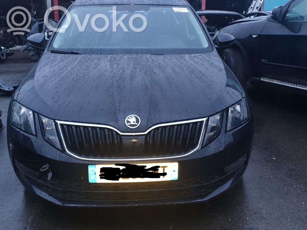 Octavia Mk3 (5E) Octavia  04L907805DG