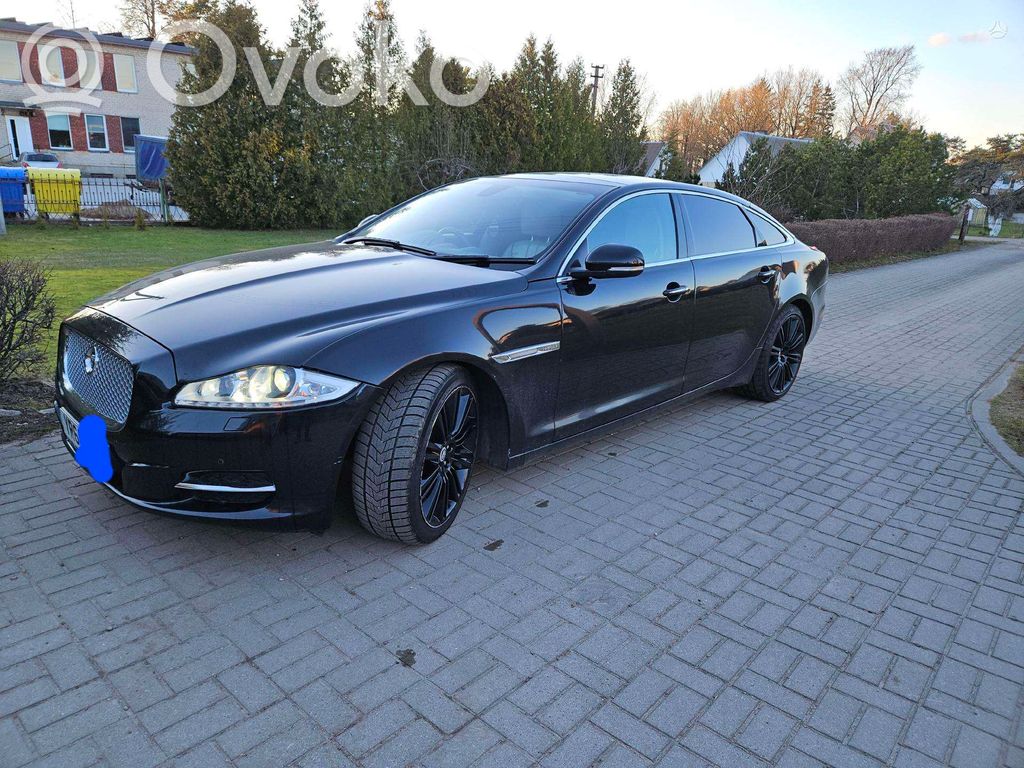XJL XJL  5DF00904175AD