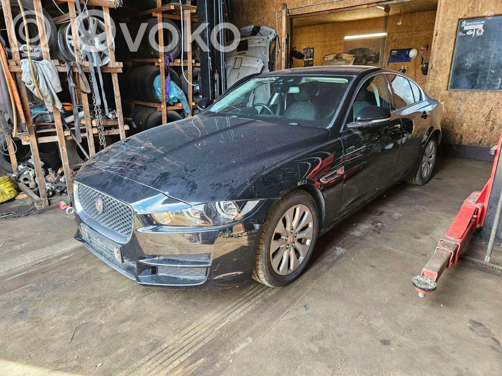 XE XE  GX7310300BD