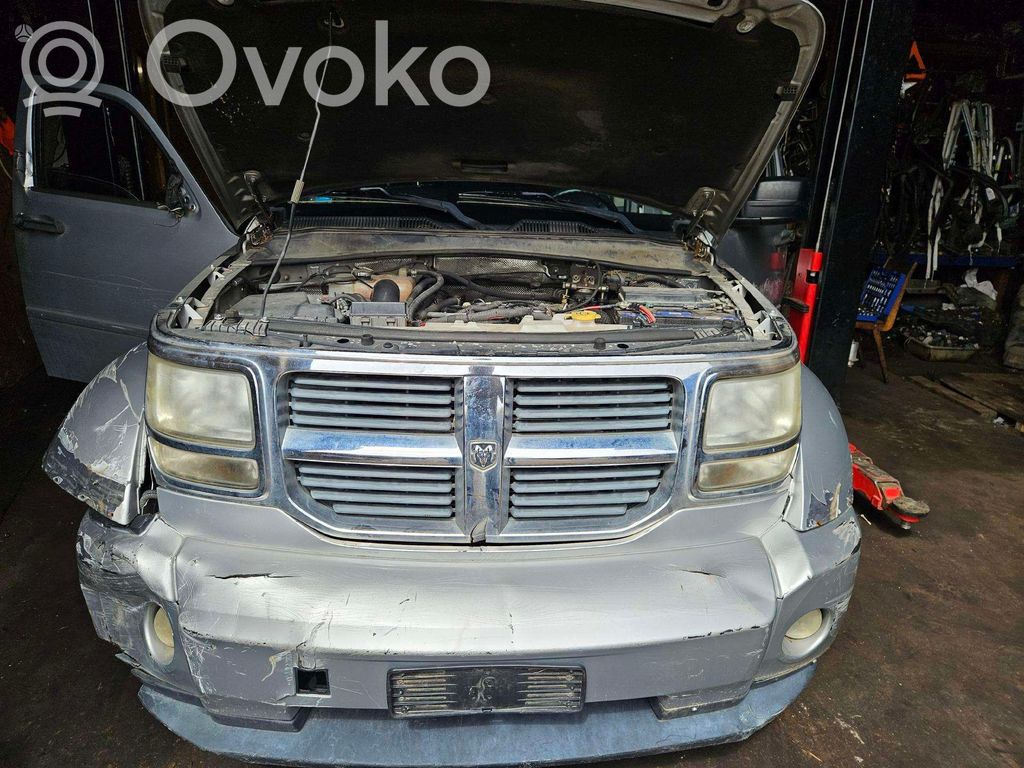 Nitro Nitro  56042559