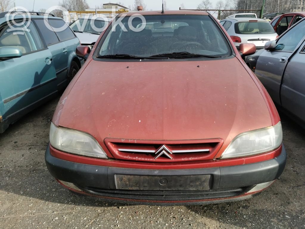 Xsara Xsara, Xsara Picasso