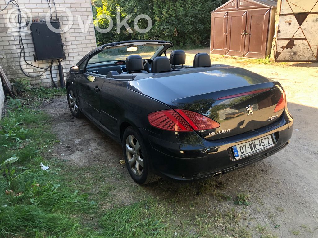 307 CC 307