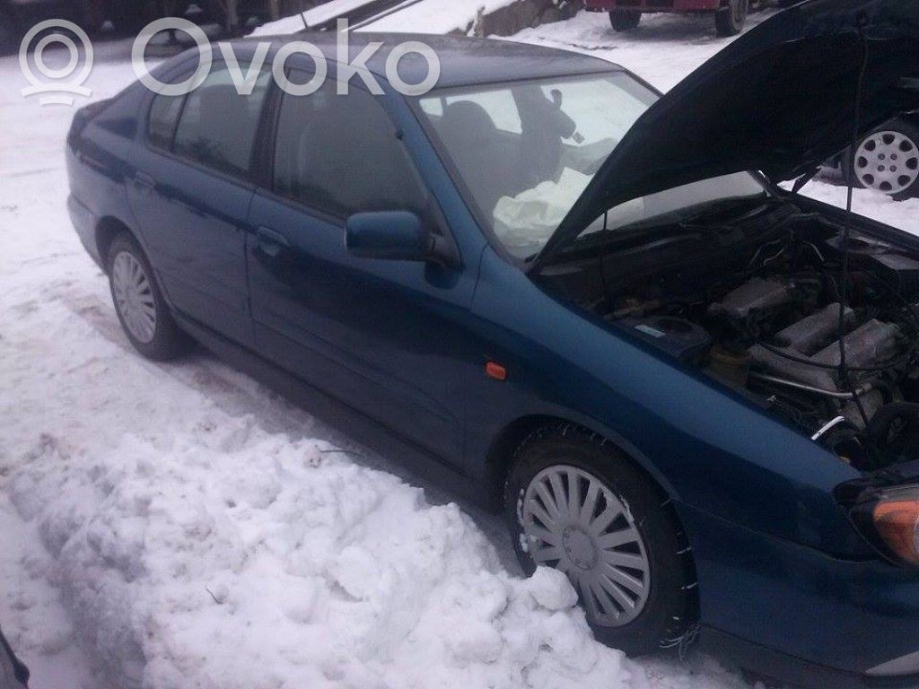 Primera Primera  0258005223
