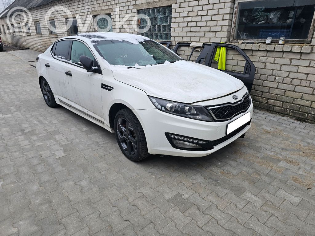 Optima Optima  954302T900