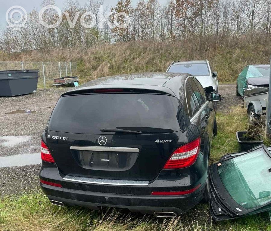 R W251 R-class, AMG (W251)