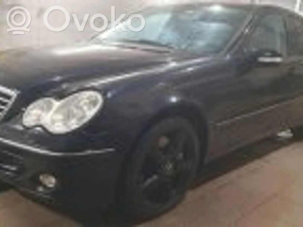 C W203 C-class, AMG (W202, W203, W204, W205, W206)