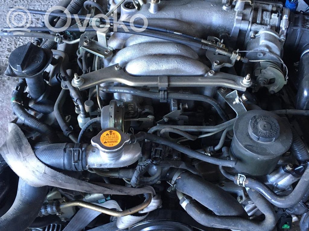 FX FX  VK45