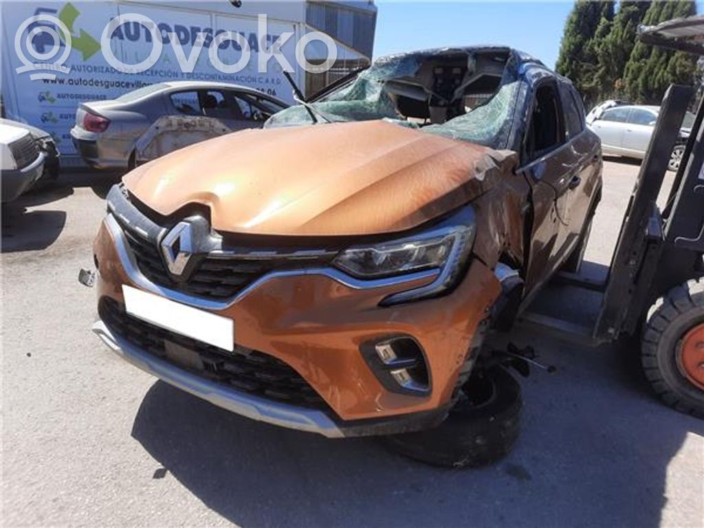 Captur Captur  233004646RA