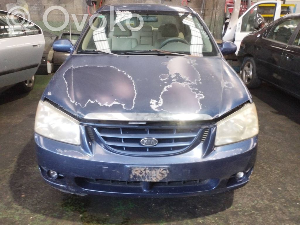 Cerato Cerato  589202F100