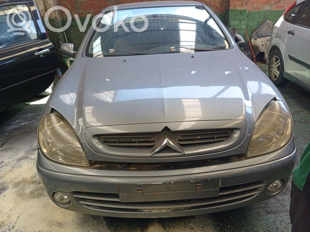 Xsara Xsara, Xsara Picasso