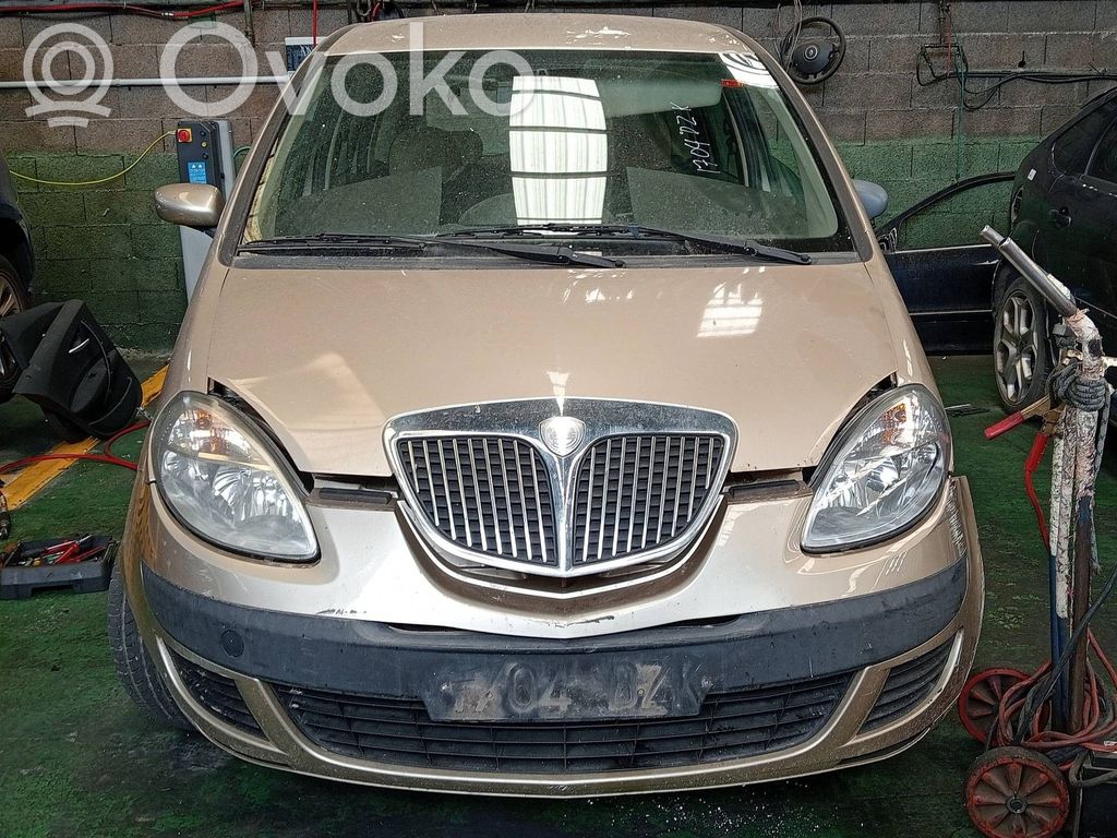 Musa Musa  12000394