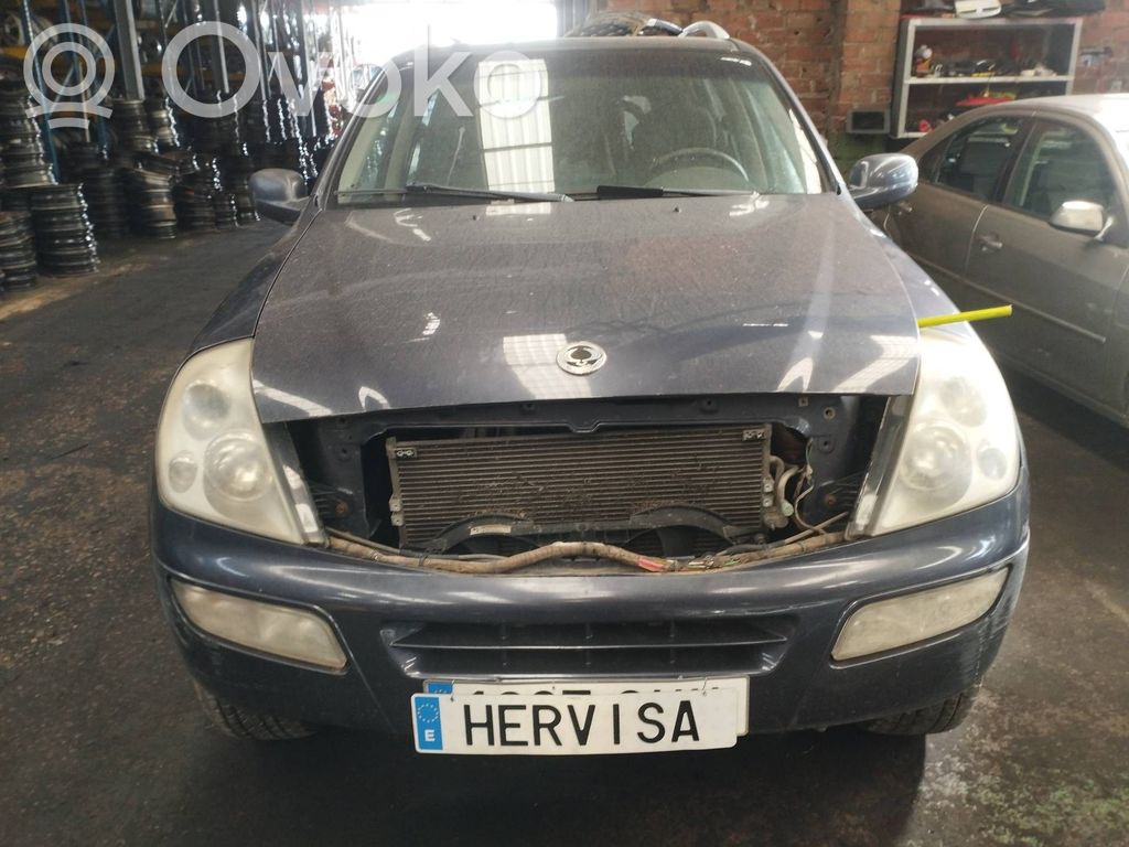 Rexton Rexton  4896008000