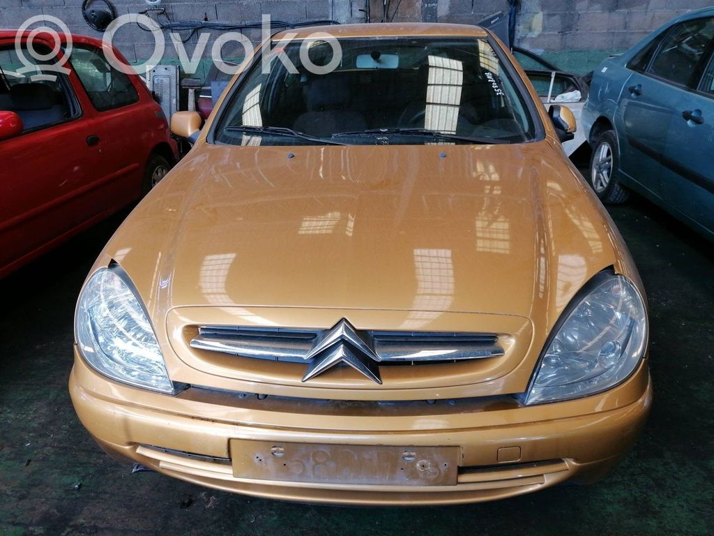 Xsara Xsara, Xsara Picasso