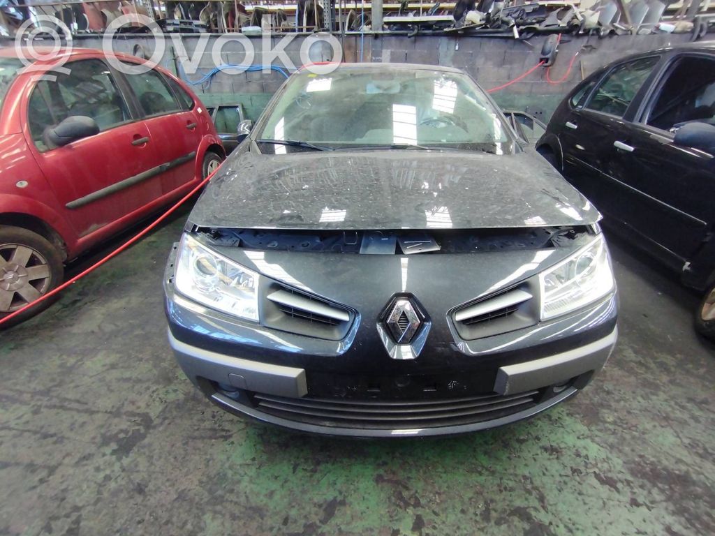 Megane III Megane  8200149739