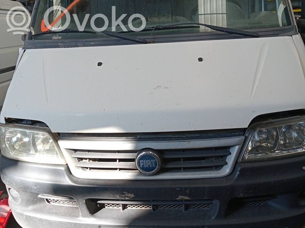 Ducato Ducato