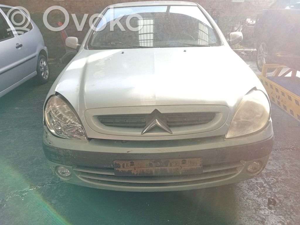 Xsara Xsara, Xsara Picasso