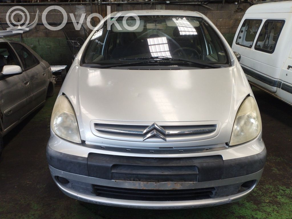 Xsara Xsara, Xsara Picasso