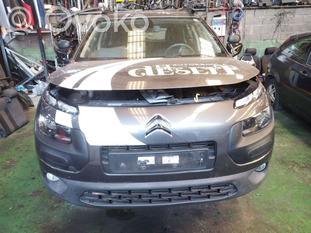 C4 Cactus C4 Picasso, Grand Picasso, Aircross, Cactus  9800901280