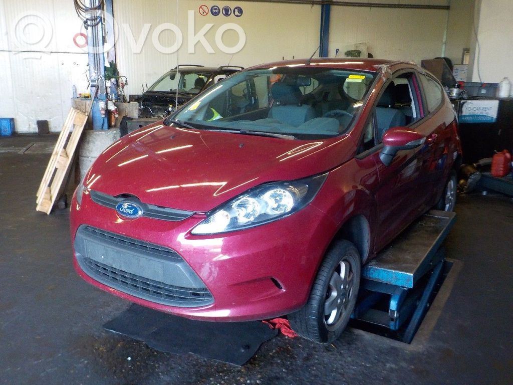 Fiesta Fiesta  3736C