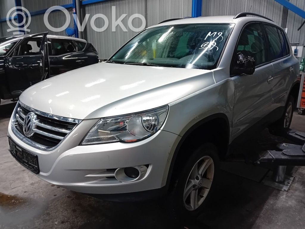 Tiguan Tiguan
