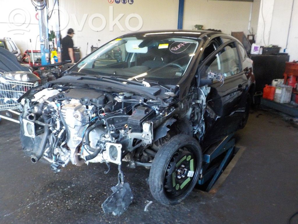 Focus Focus  921755105