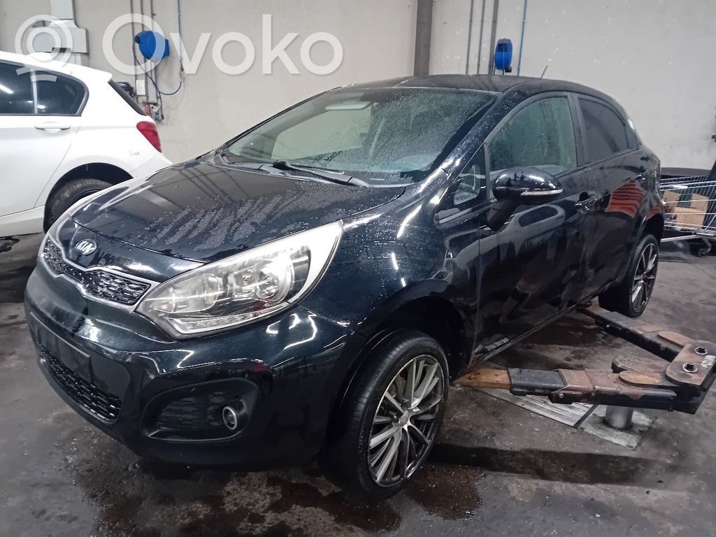 Rio Rio  859101W200