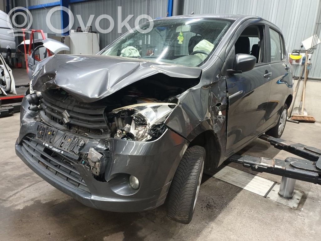 Celerio Celerio