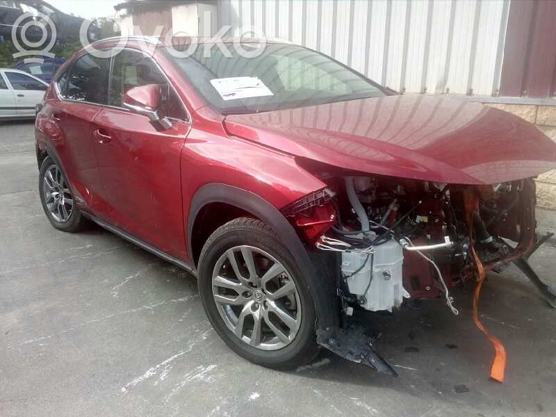 NX NX  2562036060