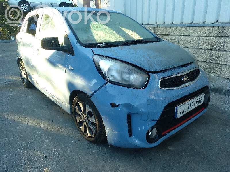 Picanto Picanto  934101Y621