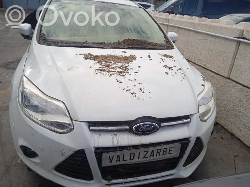 Focus Focus  BV613B436TA