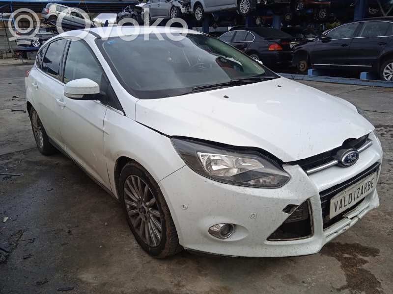 Focus Focus  1859062