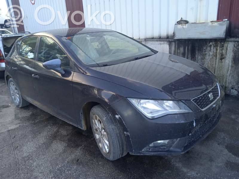 Leon (5F) Leon  5F0907044D