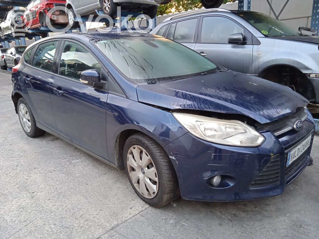Focus Focus  1852397