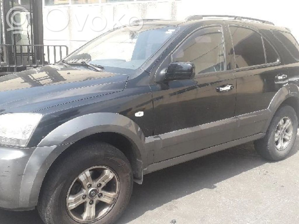 Sorento Sorento  491003E200