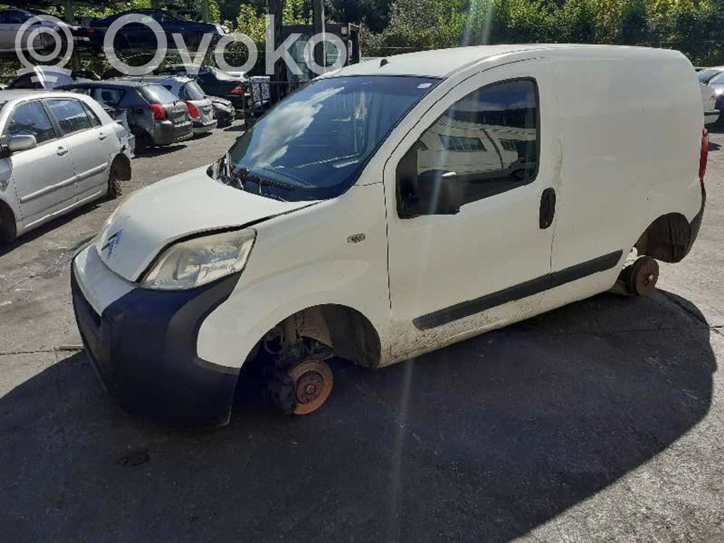 Nemo Nemo  1658867480