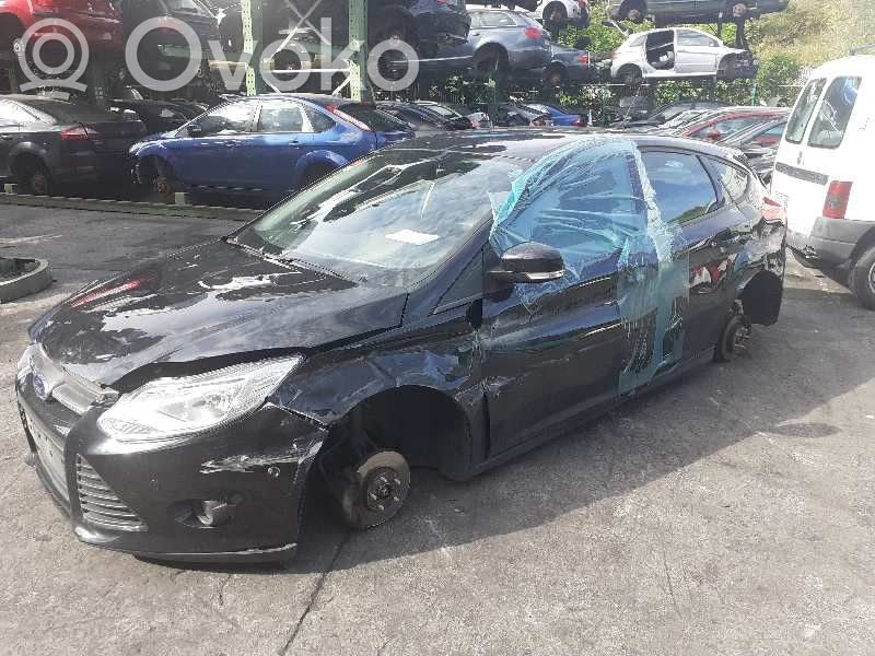 Focus Focus  1852397