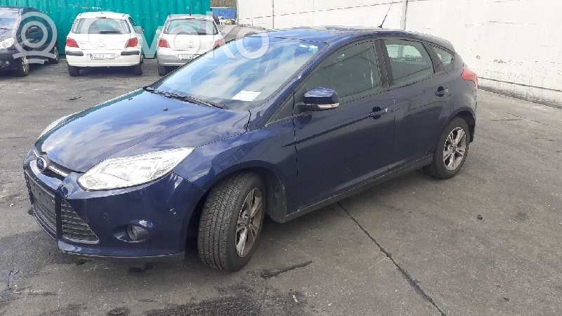 Focus Focus  1781479