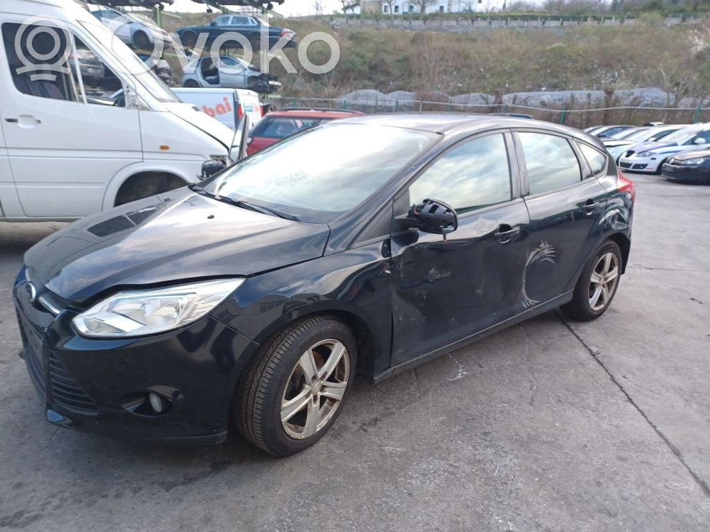 Focus Focus  1797477