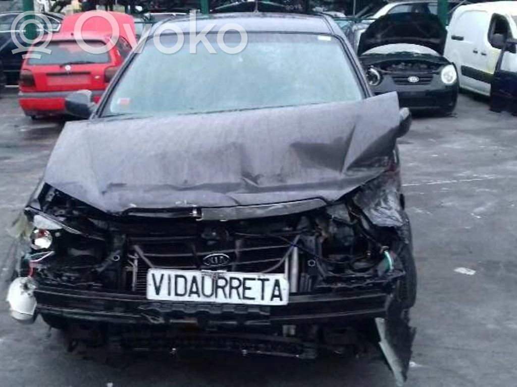 Cerato Cerato