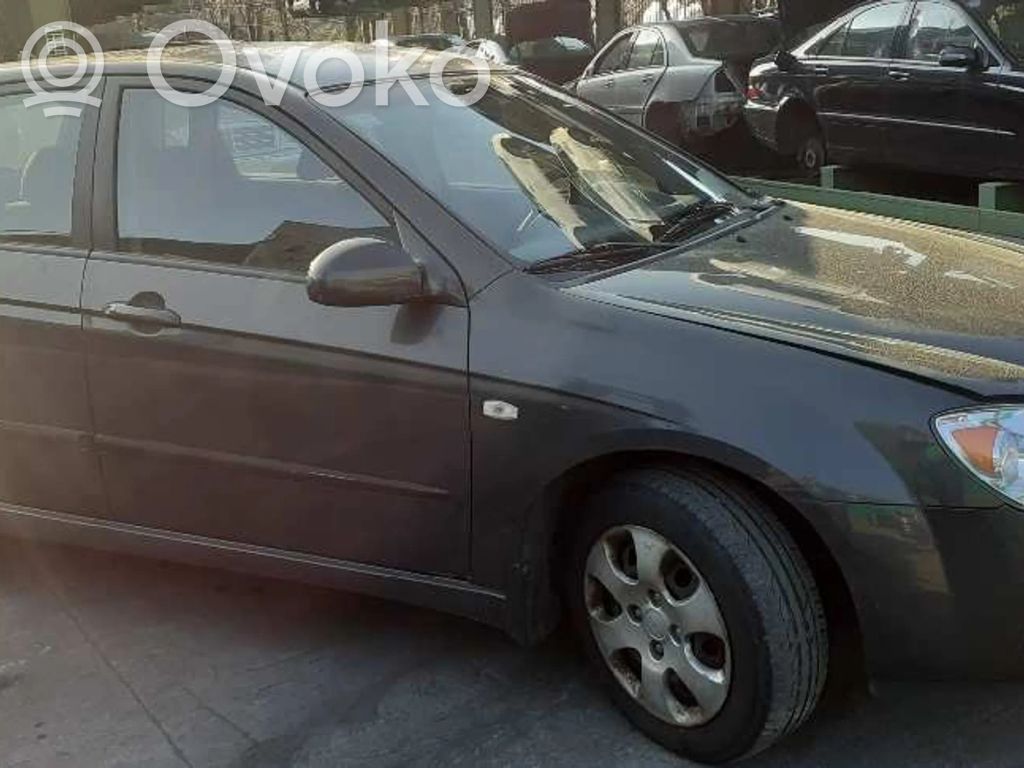 Cerato Cerato  824012F010