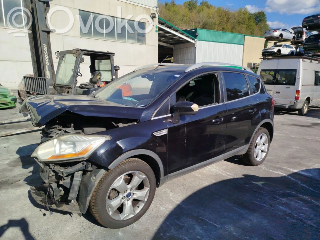 Kuga I Kuga  1600643