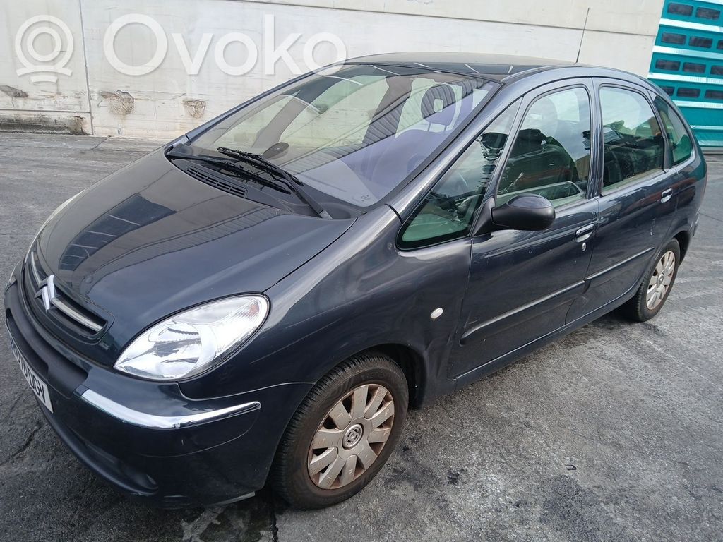 Xsara Xsara, Xsara Picasso