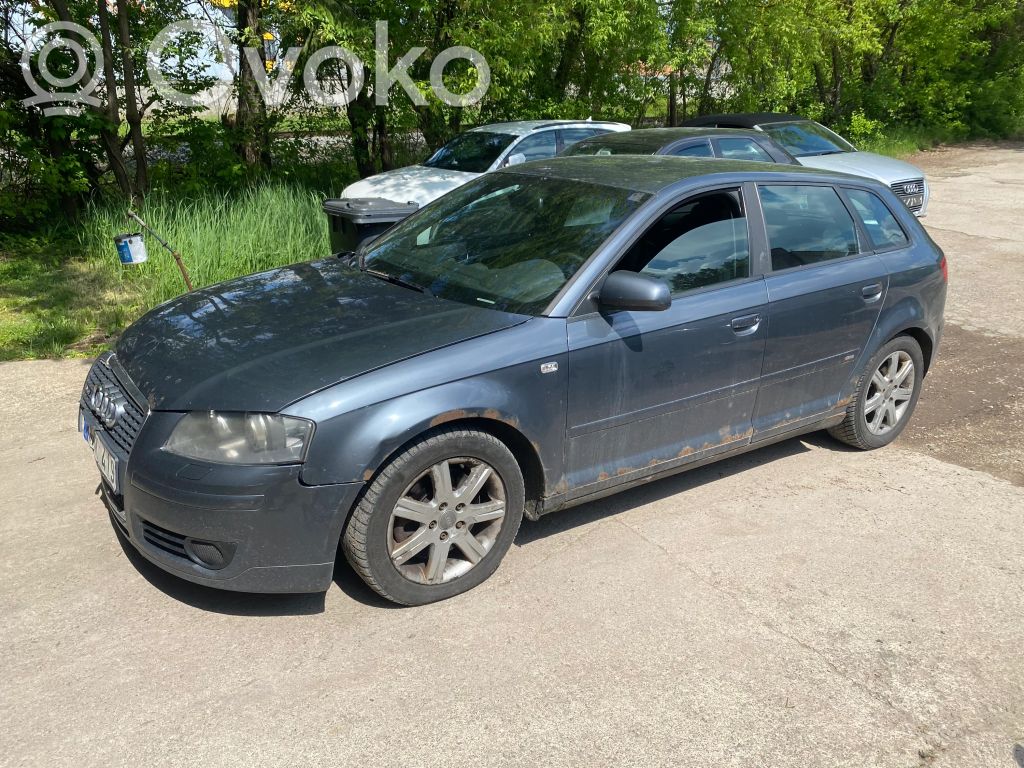 A3 S3 A3 Sportback 8P A3, S3  1K0411303AQ