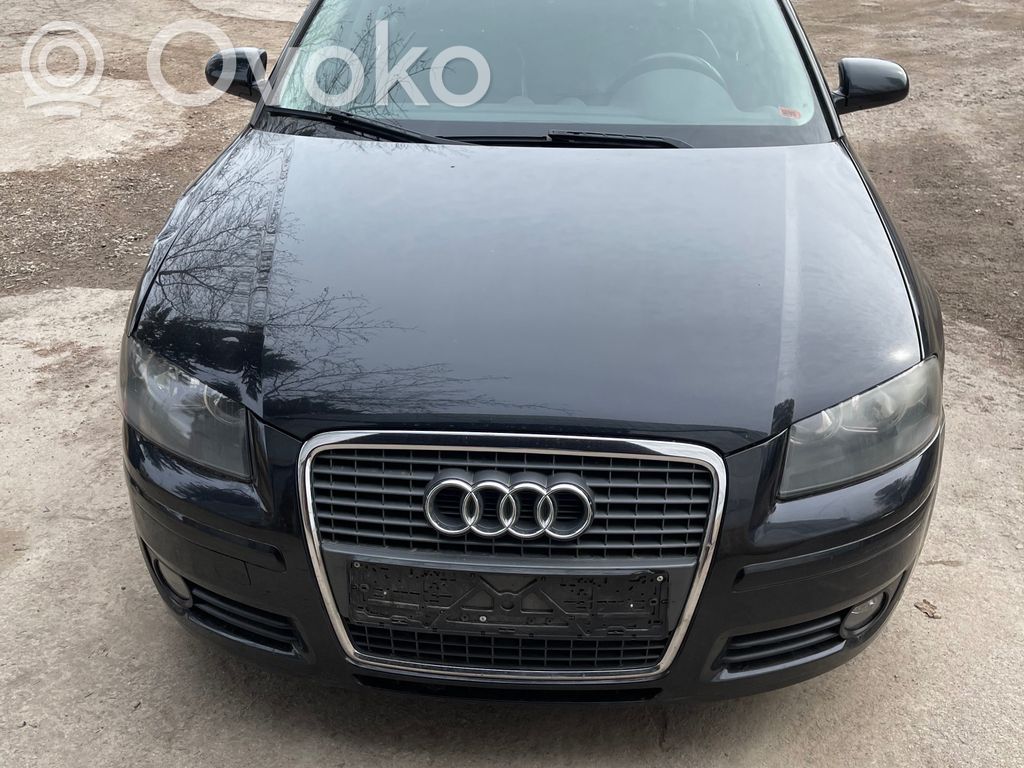 A3 S3 A3 Sportback 8P A3, S3  8P0953519A